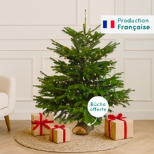 Plantes vertes et fleuries Sapin 125-150 cm Nordmann