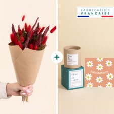 null Le Délicat - Fleurs séchées, bougie & carte
