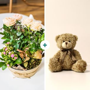 Plantes vertes et fleuries Coin de paradis et son ourson Harry Plantes vertes et fleuries Coin de paradis et son ourson Harry
