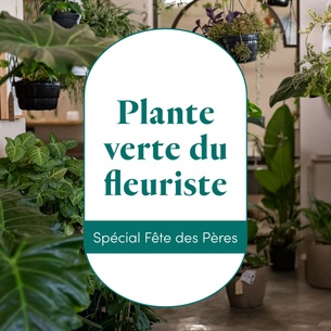 Plantes vertes et fleuries La plante verte du fleuriste Plantes vertes et fleuries La plante verte du fleuriste Fête des grands-pères