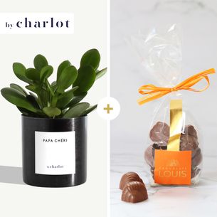 Fleurs et cadeaux Plante Papa Chéri By Charlot et ses chocolats