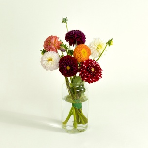 Bouquet de fleurs Petite brassée de dahlias